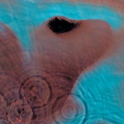 Pochette de l'album Meddle (1971)
